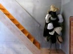 Stairs Stairs